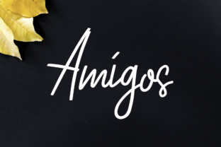 Amigos Script Font for Handmade Creations