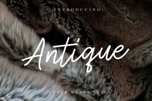Antique Font for Modern Branding Projects