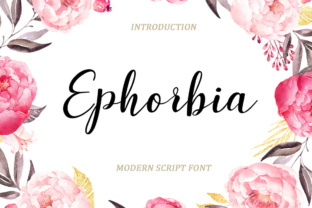 Ephorbia Script Font for Modern Web Design