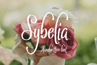 Sybelia: The Feminine Script Font for Modern Campaigns
