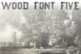 Wood Font Five: A Natural Display Font for Creative Makers