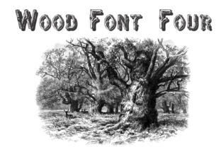 Wood Font Four for Nature-Inspired Web Design